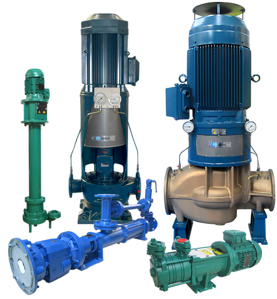 Azcue pumps