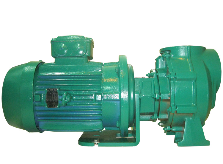 Azcue Pump CA Series Monobloc