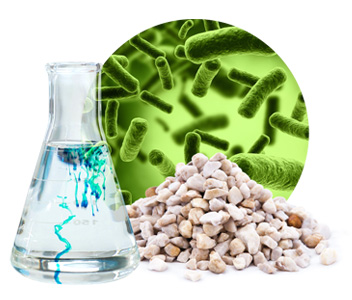 Beds and chemical and biological products