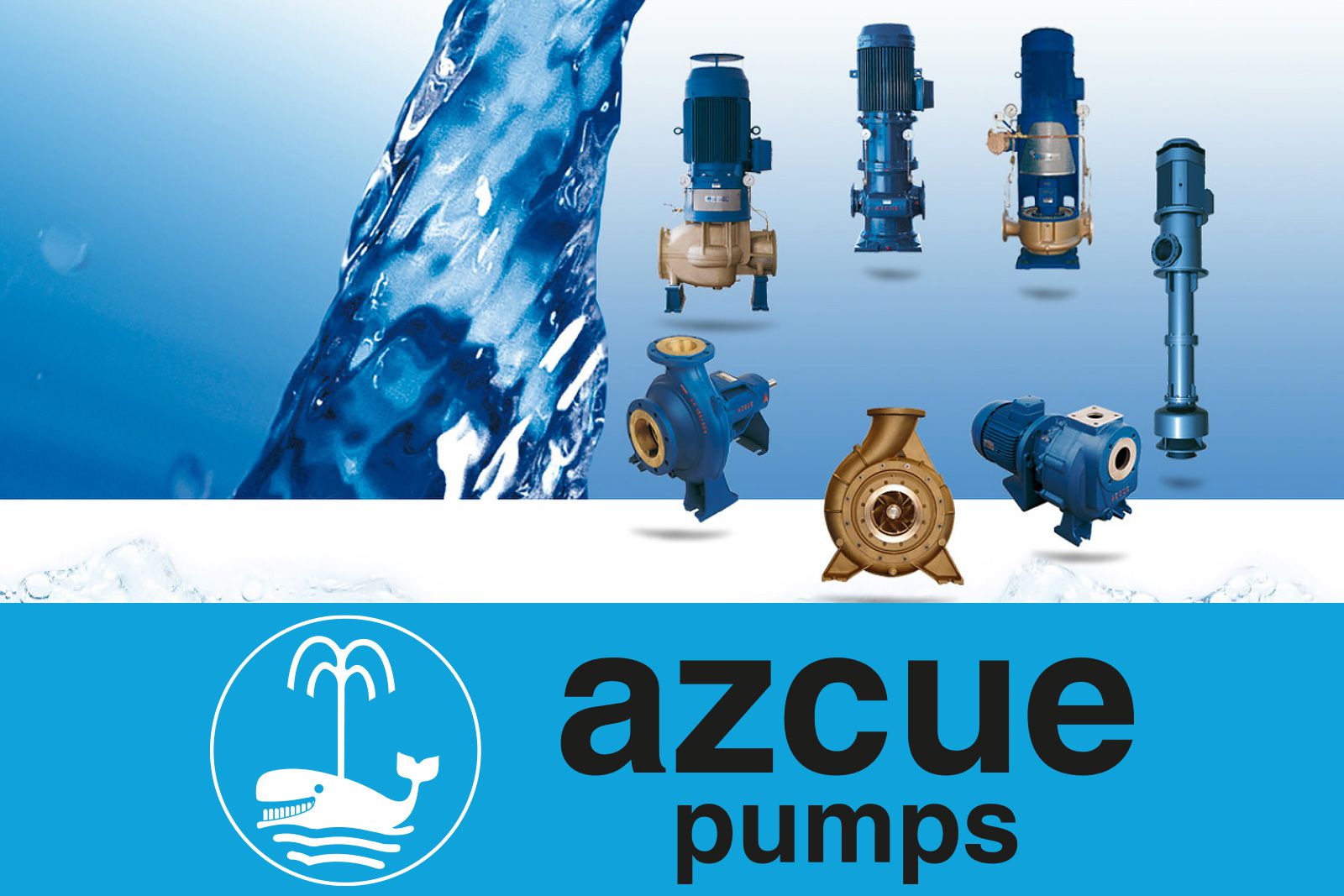 Azcue Pumps